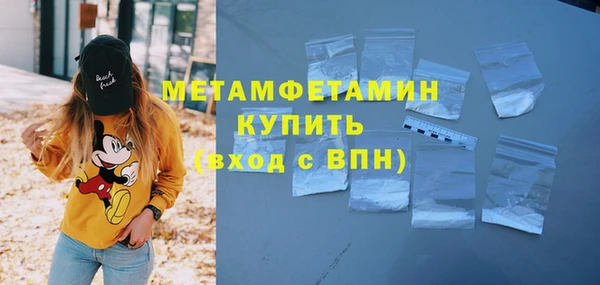 прущие грибы Покров