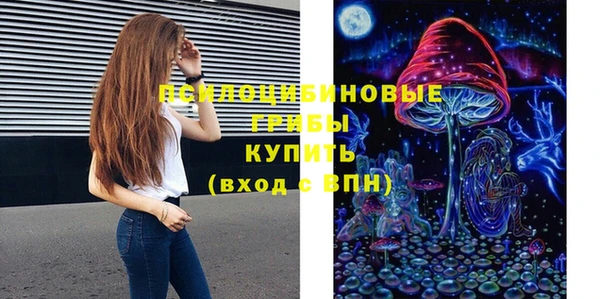ешки Покровск