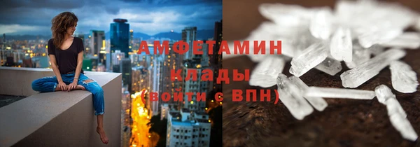 прущие грибы Покров
