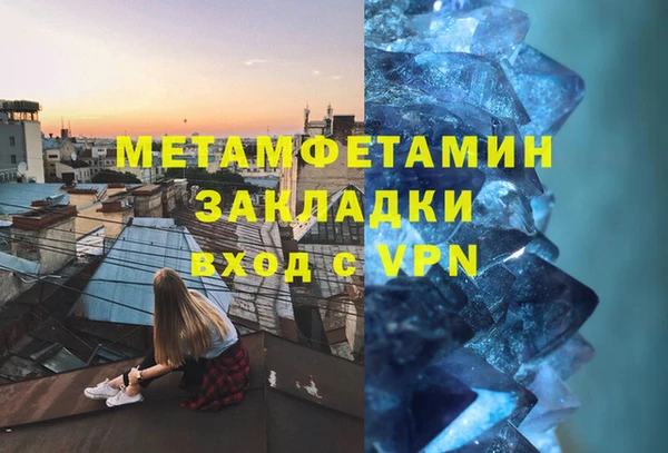 прущие грибы Покров