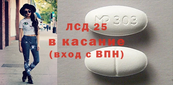 прущие грибы Покров