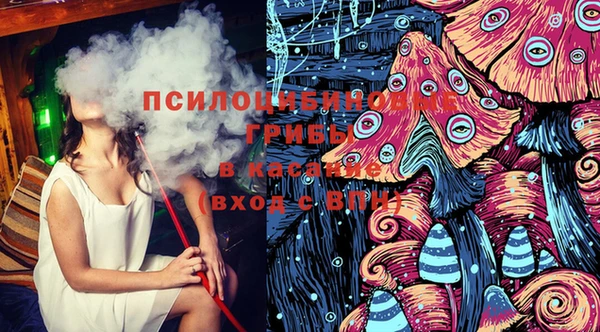 прущие грибы Покров