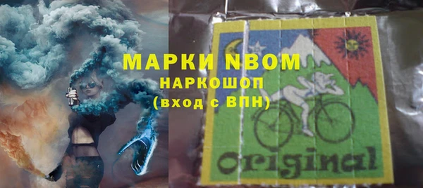 прущие грибы Покров