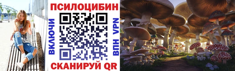 Псилоцибиновые грибы GOLDEN TEACHER  Спас-Клепики 
